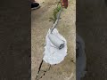 Simple Way to Seal and Repair Cracks in Concrete Floors