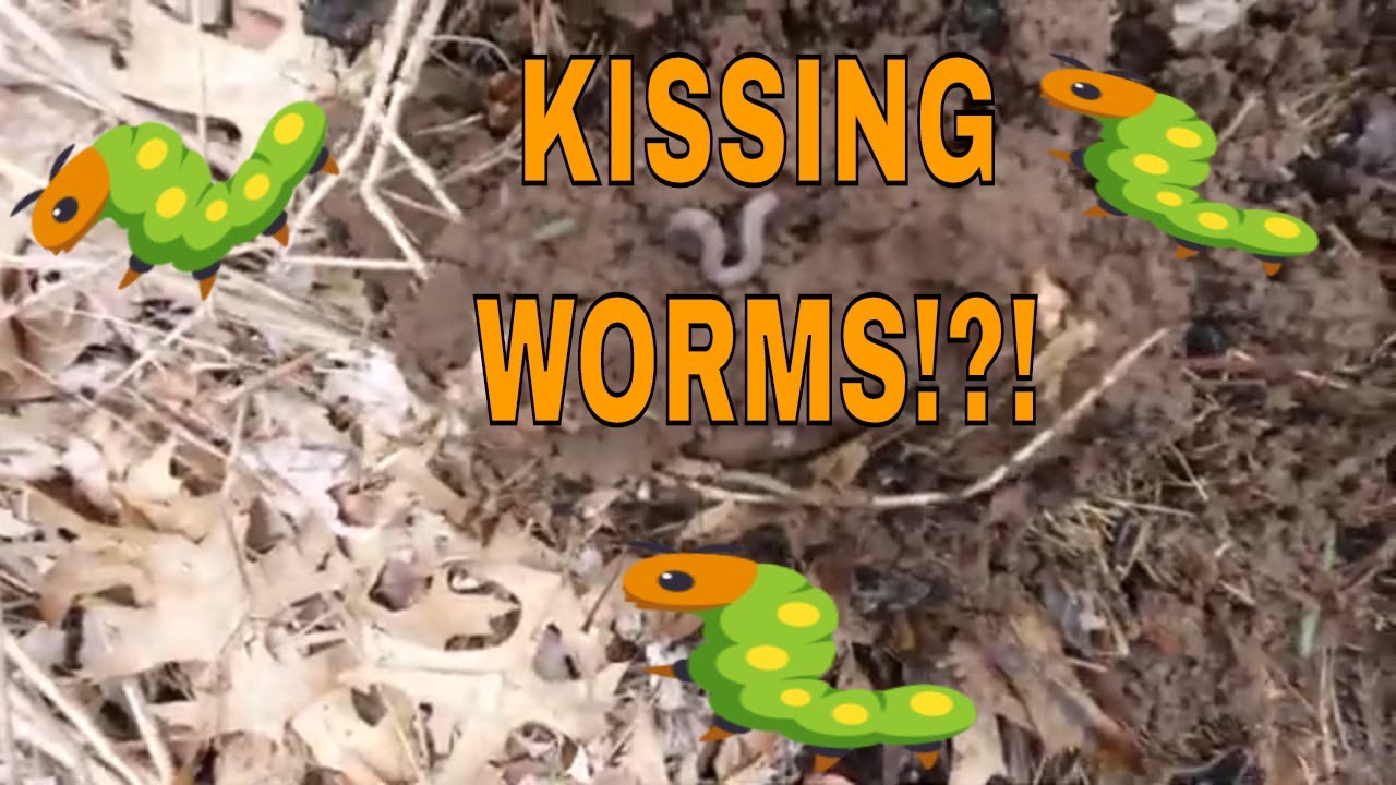 KISSING WORMS!?! Today I kiss a worm and thank them for all the