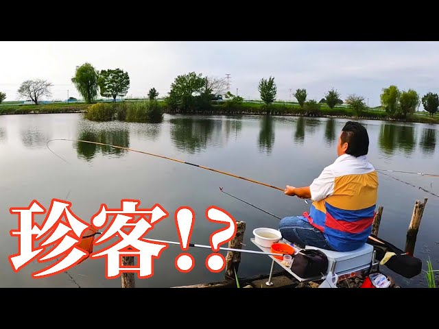 sddefault.jpg?v=66fe5de3