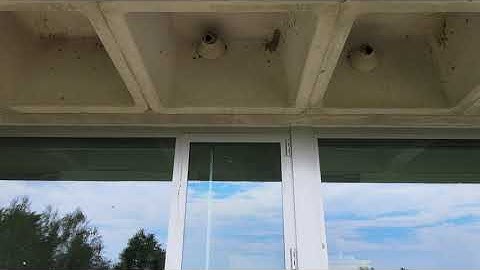Berkshire Community College - Cliff Swallow Nests