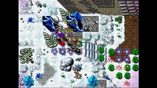 Mega Tibia Flawless Victory And Irmandade