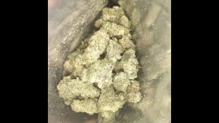🍸Jelly Cocktail #1 ( Hybrid ) Medical Cannabis Flower