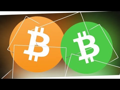 6 Perbedaan antara Bitcoin VS Bitcoin Cash
