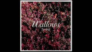 Wallows - Pictures of Girls (Official Acapella)