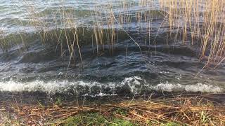 Rondje Wijthmenerplas