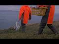 Weigh In Reveals Royal Albatross Chick Is Packing On The Pounds | May 26, 2026