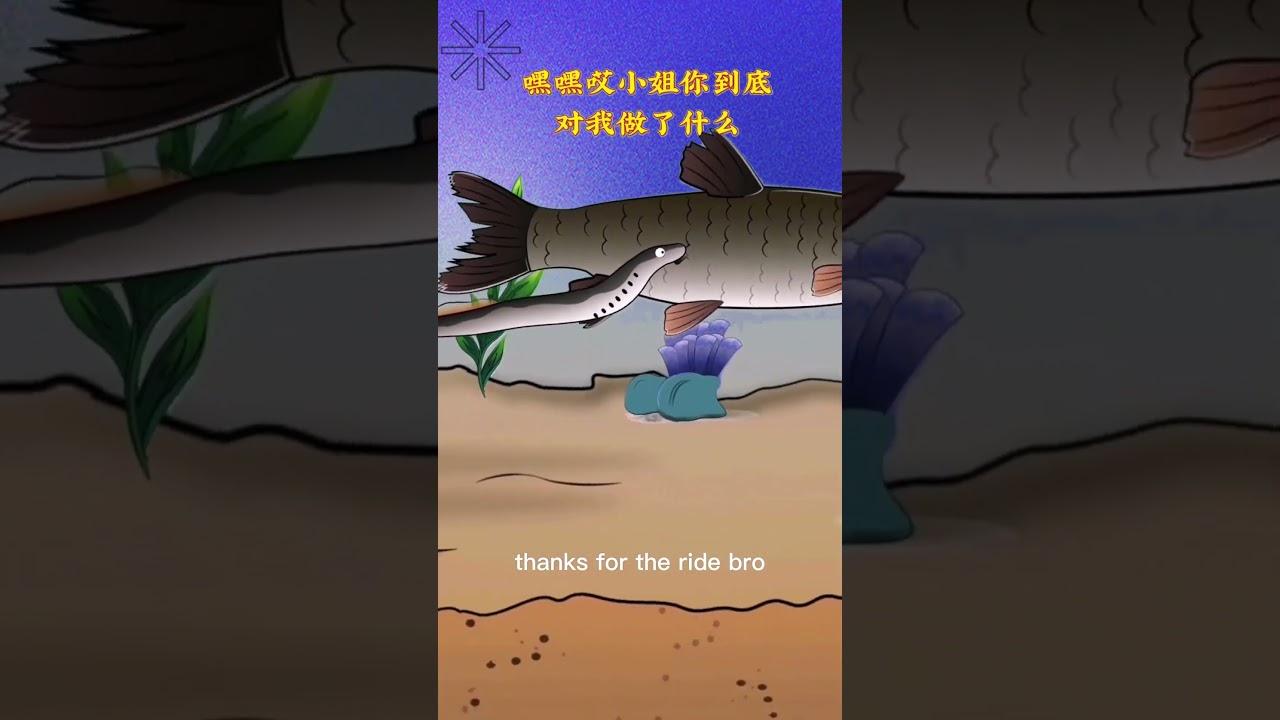 Зомби-рыба-автостопщик 💀🐟