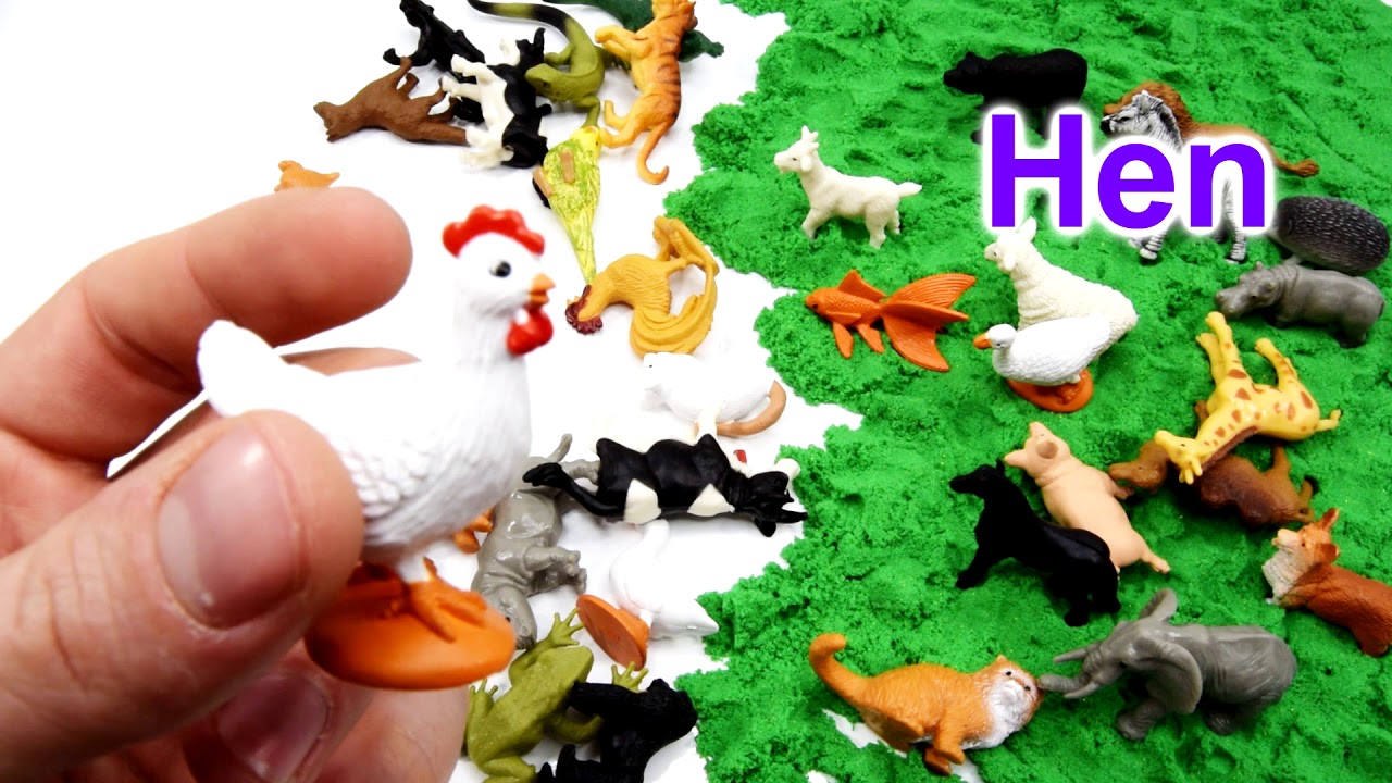 Learn Animals Names For Children - 36 Animals - Domestic, Wild and