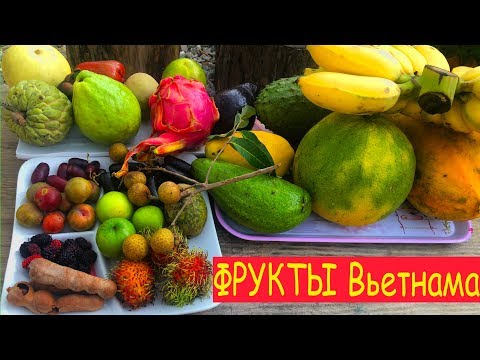 Вьетнам | ОБЗОР ЭКЗОТИЧЕСКИХ ФРУКТОВ