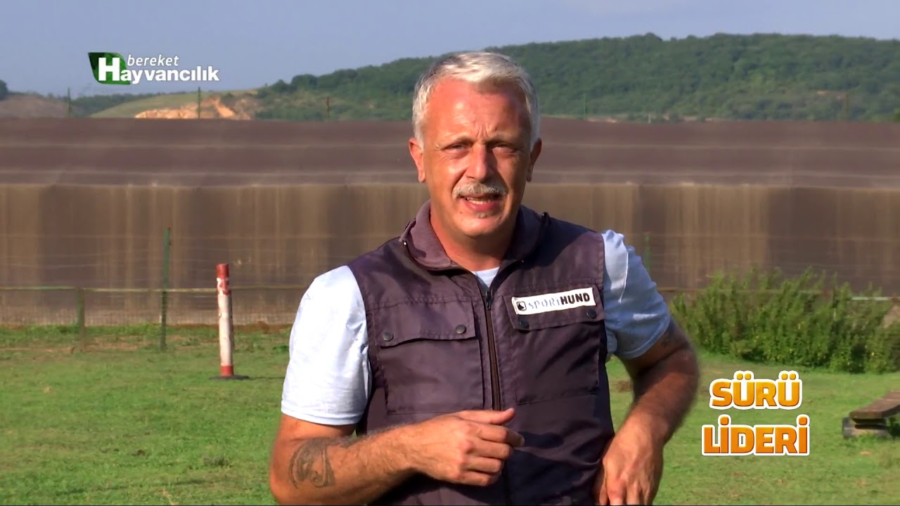 SÜRÜ LİDERİ 10. BÖLÜM KORUMA KÖPEKLERI EGITIMI