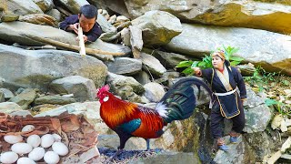 Dwarf Family Unexpectedly Finds a Wild Chicken Nest | Primitive Life in the Mountainous Region