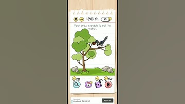 BRAIN test level 171