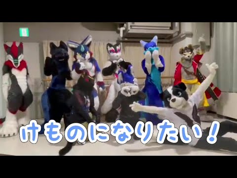 「けものになりたい！」で遊んでみた！