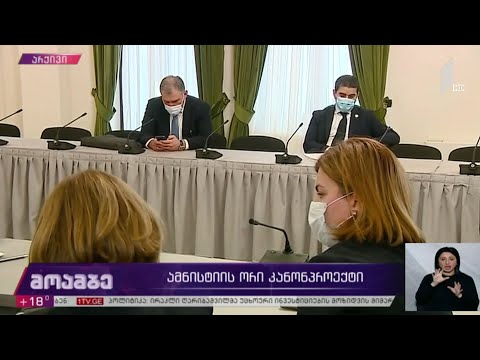 ამნისტიის ორი კანონპროექტი