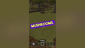 3 Important Facts about Podzol in Minecraft #shorts  #bedrocktutorial #minecraftbedrock