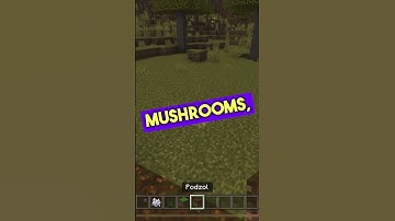 3 Important Facts about Podzol in Minecraft #shorts  #bedrocktutorial #minecraftbedrock