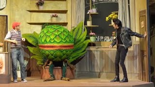 Little Shop of Horrors • Theater Krefeld Mönchengladbach
