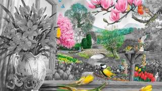 Amazing gif work.