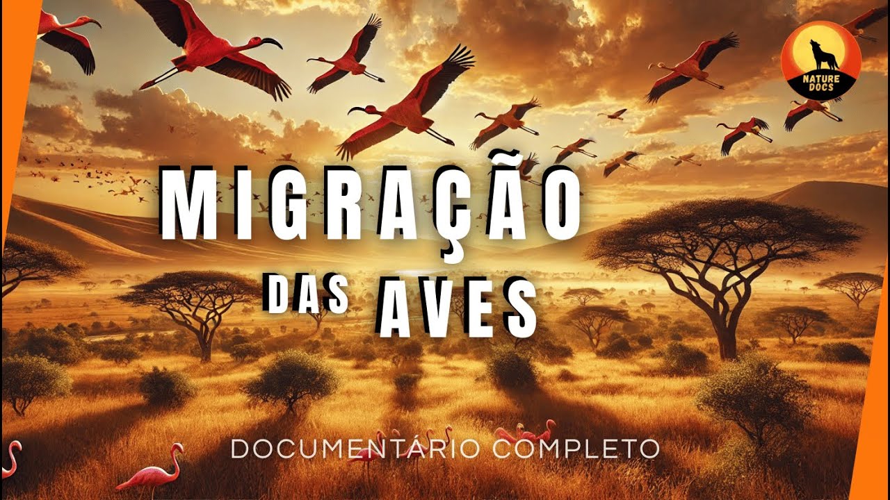 Desvendando o mistério da MIGRAÇÃO DAS AVES