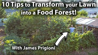 How to TRANSFORM your LAWN into a FOOD FOREST!