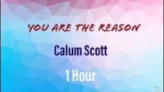 Calum Scott—You Are The Reason(1 Hour)