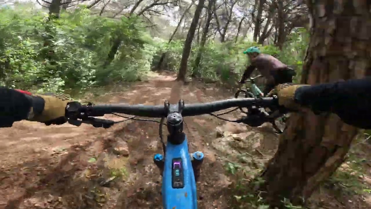 The best trails in Lisbon