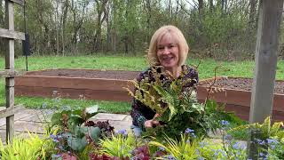 Shade Garden Before & After with Dawn from Seasonal Designs