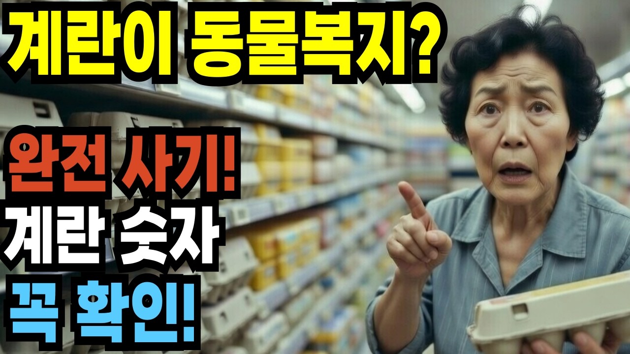 동물복지 계란 사기 실체｜계란 끝자리 숫자 모르면 평생 속습니다