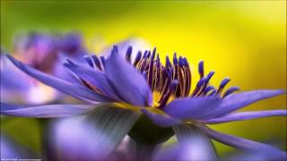 Manipuri Gospel Song - Awa Potlum Puba