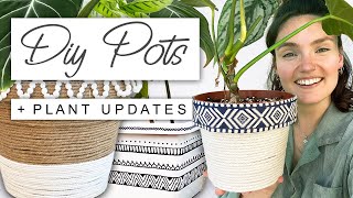 DIY Plant Pots + House Plant Updates 💚 Trash To Treasure Plant Pots