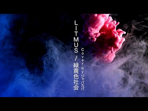 LITMUS / 緑黄色社会【フル歌詞付き】 Cover by ジャパカバ