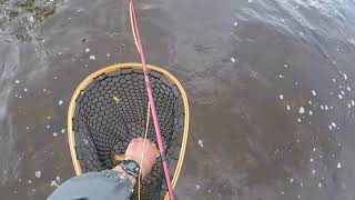 Fishing the Grand River at Blondies (Inverhaugh)