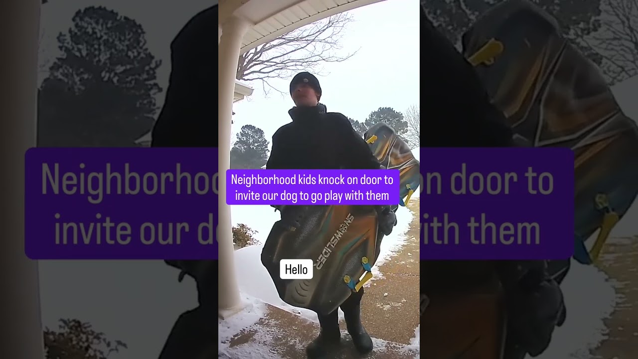 Friends With Dogs 🐕🥺😍 #shorts #friends #dog #dogs #viral #reels #repost