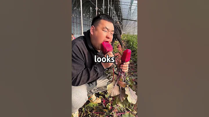 When did you finally stand up to a bully?🤫