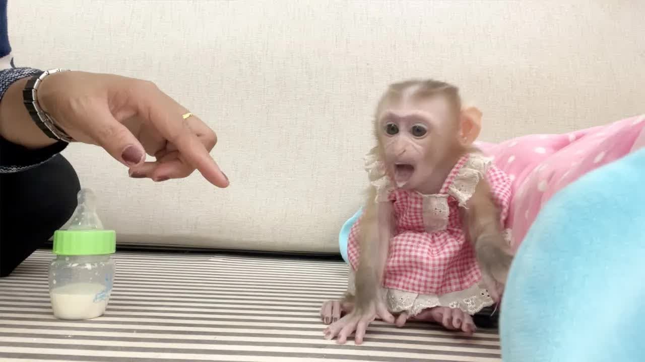 Oho!! Lil BB Jelly Sucking Her Finger Until Vomit