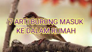 7 Arti Burung Masuk Ke Dalam Rumah