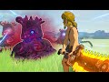 The hardest Breath of the Wild mod just got harder