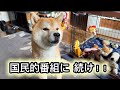 国民的番組に続け〜