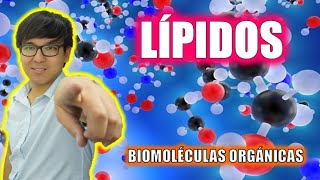 [ BIOLOGÍA FREE ] - LÍPIDOS | BIOMOLÉCULAS ORGÁNICAS 👉😍🌿