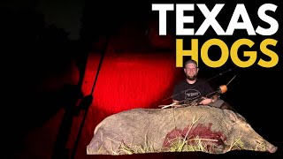 TRADITIONAL BOWHUNTING|Texas Hog Hunting|THE STICKBOYS