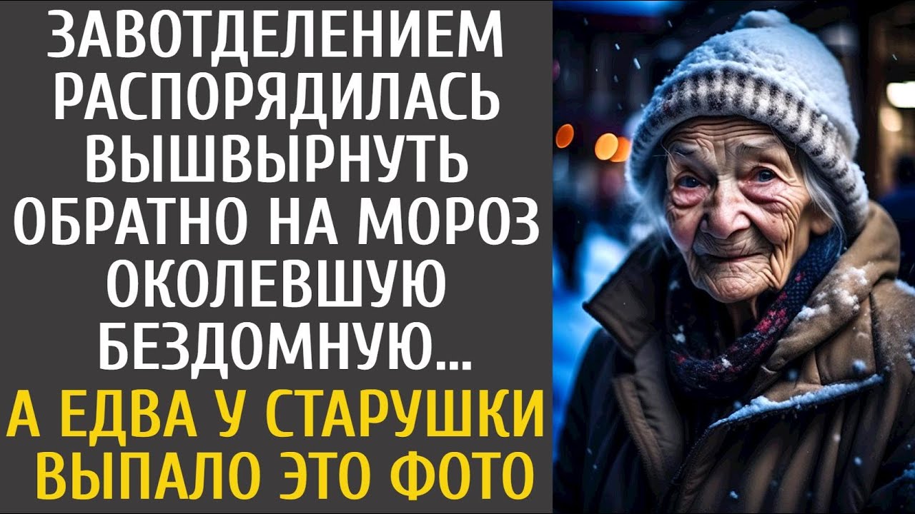 Завотделением вышвырнула обратно на мороз околевшую бездомную… А едва у ...