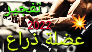 فجر عضلة الذراع في رمضان بطريقة خرافيا 2022fajir 3adalt Dira3 bsor3a fi ramadan