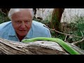 DAVID ATTENBOROUGH: A LIFE ON OUR PLANET Full Trailer | WWF-Australia