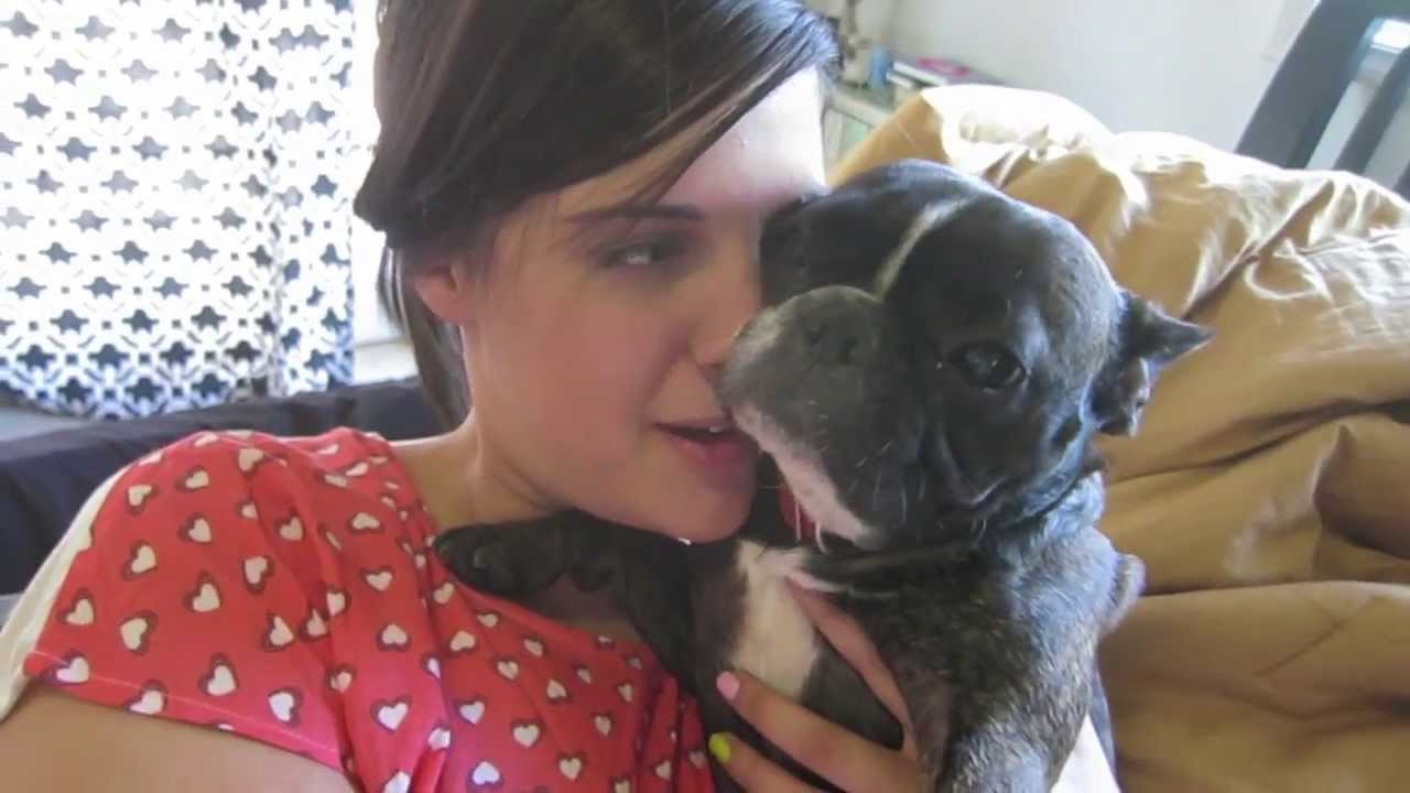 STOP LICKING ME YouTube