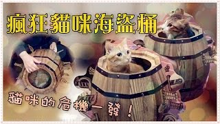 【魚乾】貓物開箱  瘋狂貓咪海盜桶貓咪的危機一發