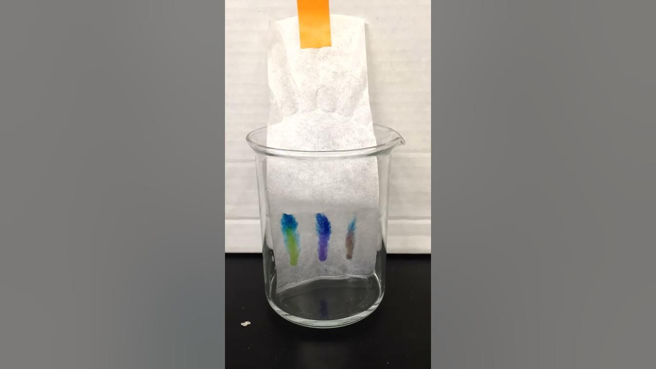Paper chromatography timelapse YouTube