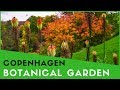 Botanical Garden Copenhagen Denmark