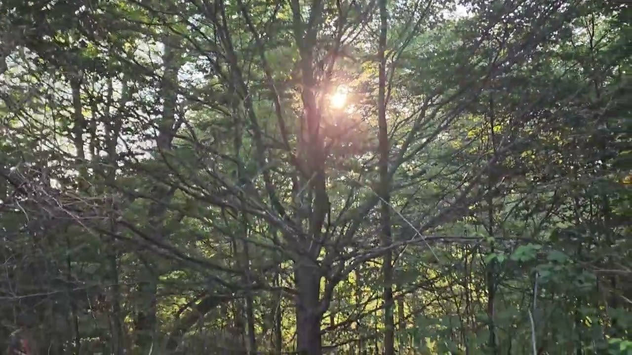 Culmea Cănicea , Munții Cernei