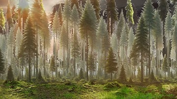 Royalty Free Parallax video (Forest, paper cut out style)