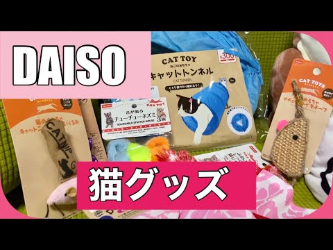 しえるねこ Ciel Cat しえるねこ Ciel Cat